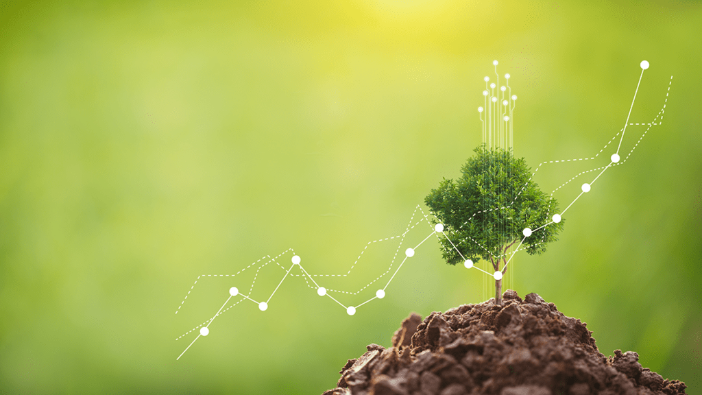 sustainaility improve performance and growth concept