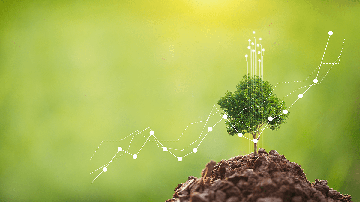 sustainaility improve performance and growth concept